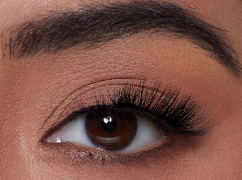 faux cils magnétiques cat eyes intenses waterproof Black Venom Maison Magnet réutilisables sans colle